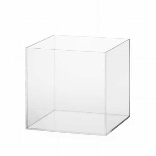 Plexi (22).jpg