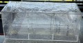 IMG_4207.JPG